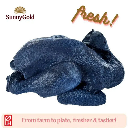 SunnyGold Fresh Black Chicken 500g