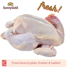 SunnyGold Fresh Whole Chicken 1.4kg-1.5kg
