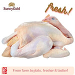 SunnyGold Fresh Whole Chicken (Kampong) 0.9-1.1kg