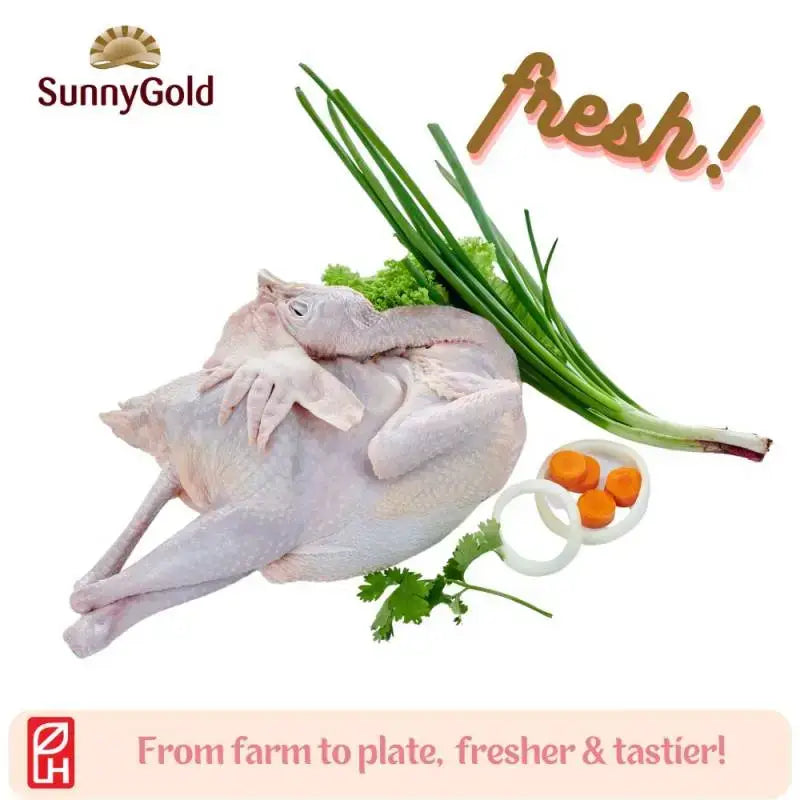 SunnyGold Fresh Whole Chicken (Old Fowl) 1.1-1.2kg