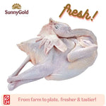 SunnyGold Fresh Whole Chicken (Old Fowl) 1.1-1.2kg