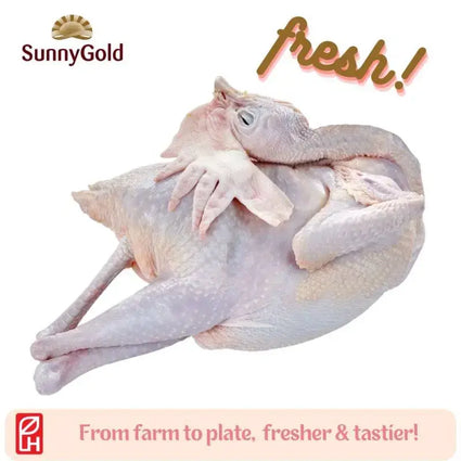 SunnyGold Fresh Whole Chicken (Old Fowl) 1.1-1.2kg